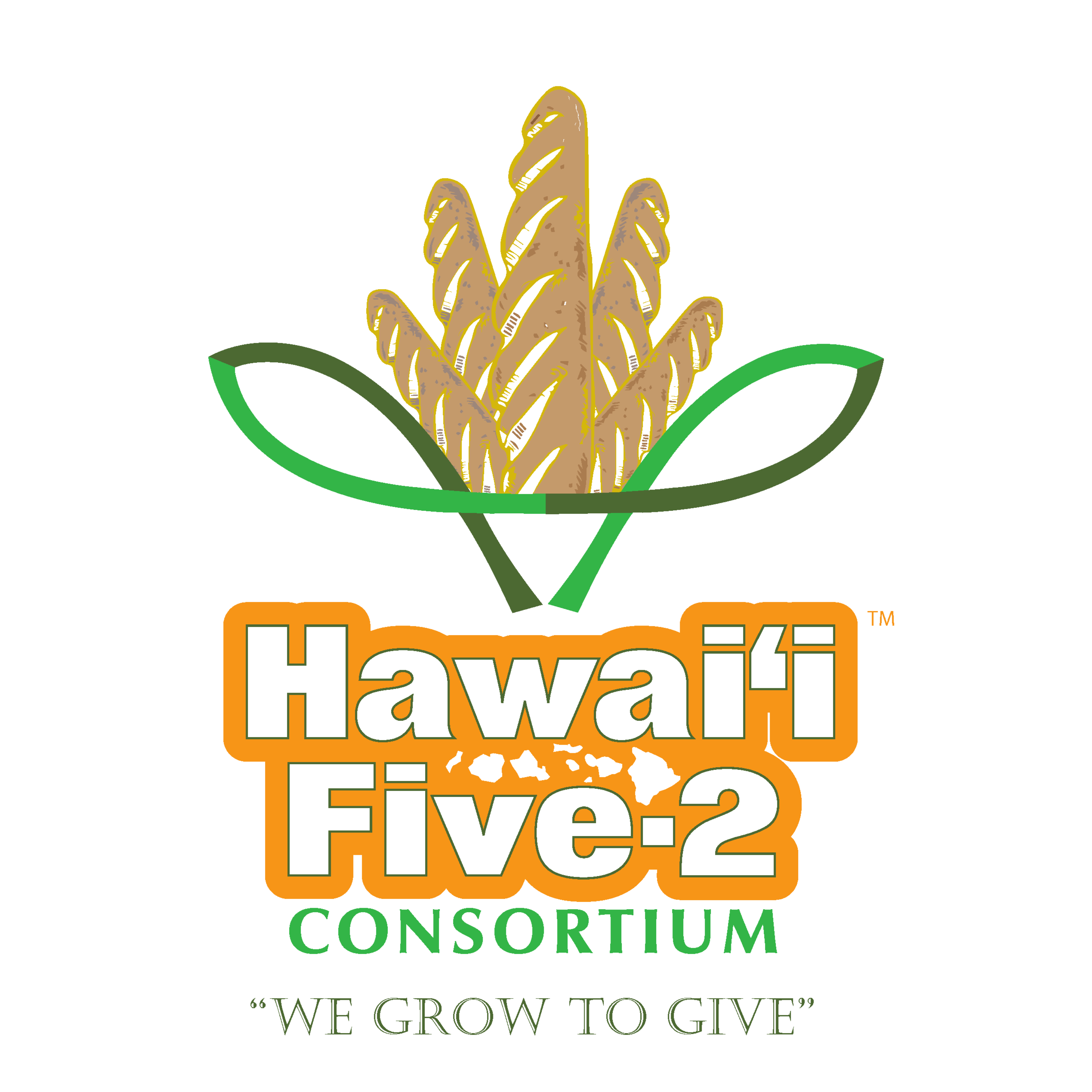 Hawai‘i Five-2 Consortium logo
