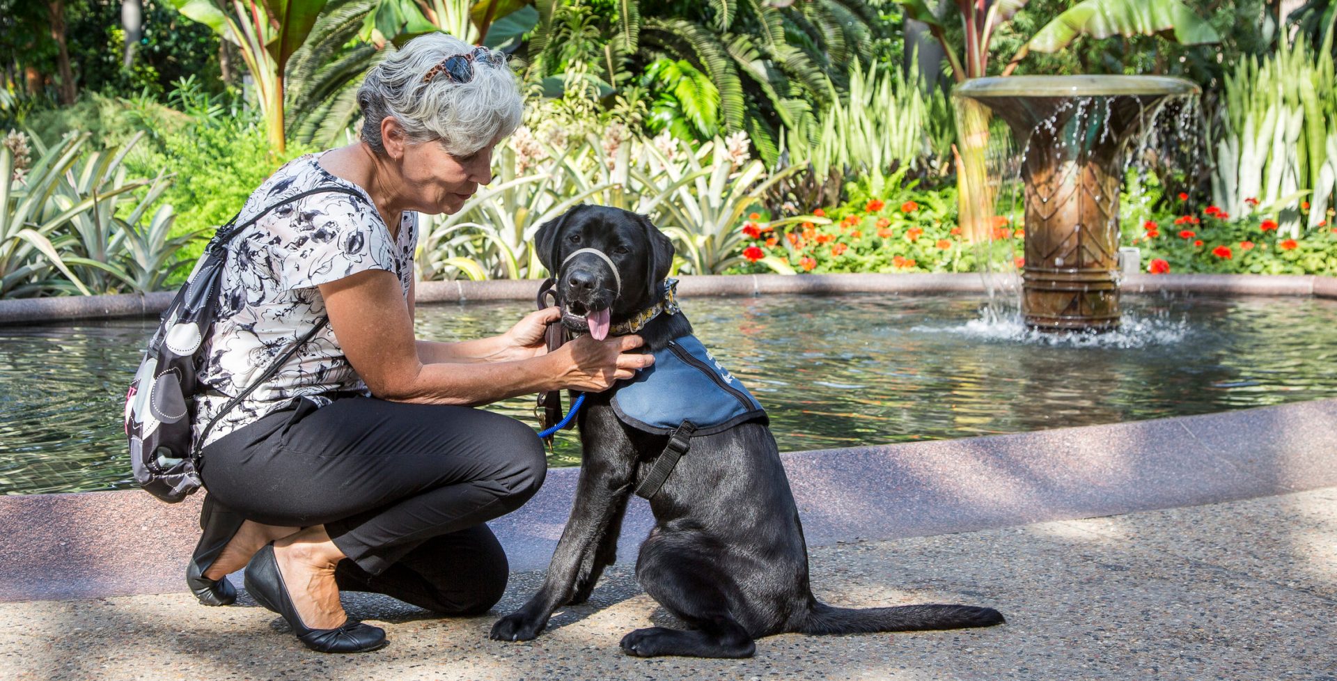 Service Dog in Training at Longwood Gardens - 2224
