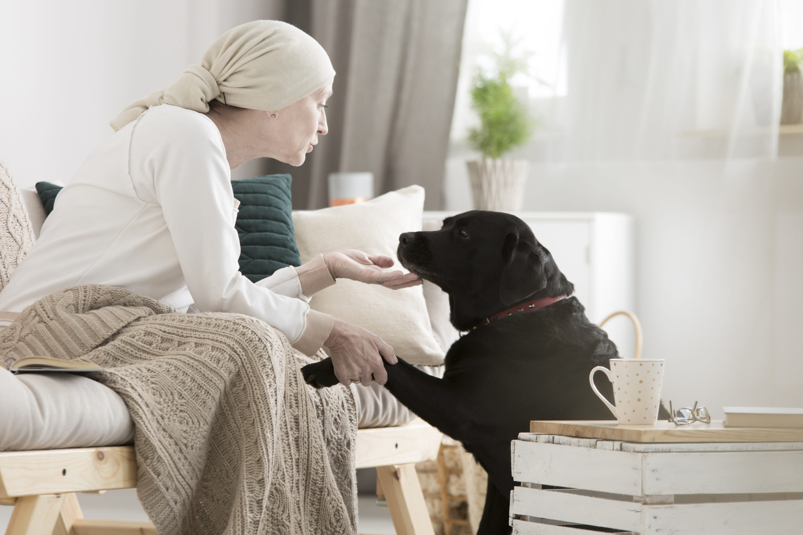 How To Help A Friend With Cancer Gofundme How To Help A Friend With Cancer Gofundme