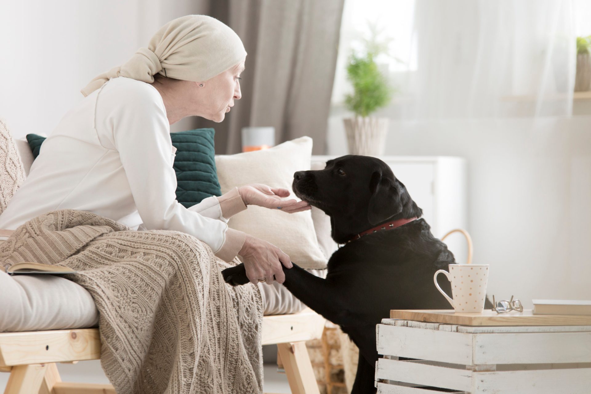 Tumor patient caressing her dog