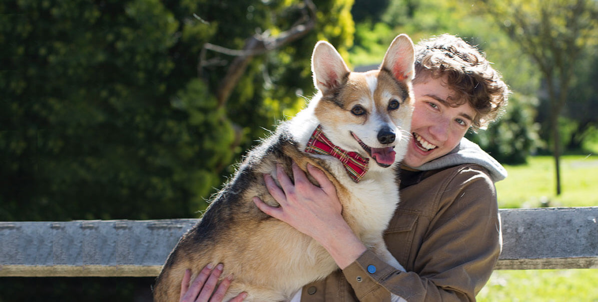 Boy hugging corgi