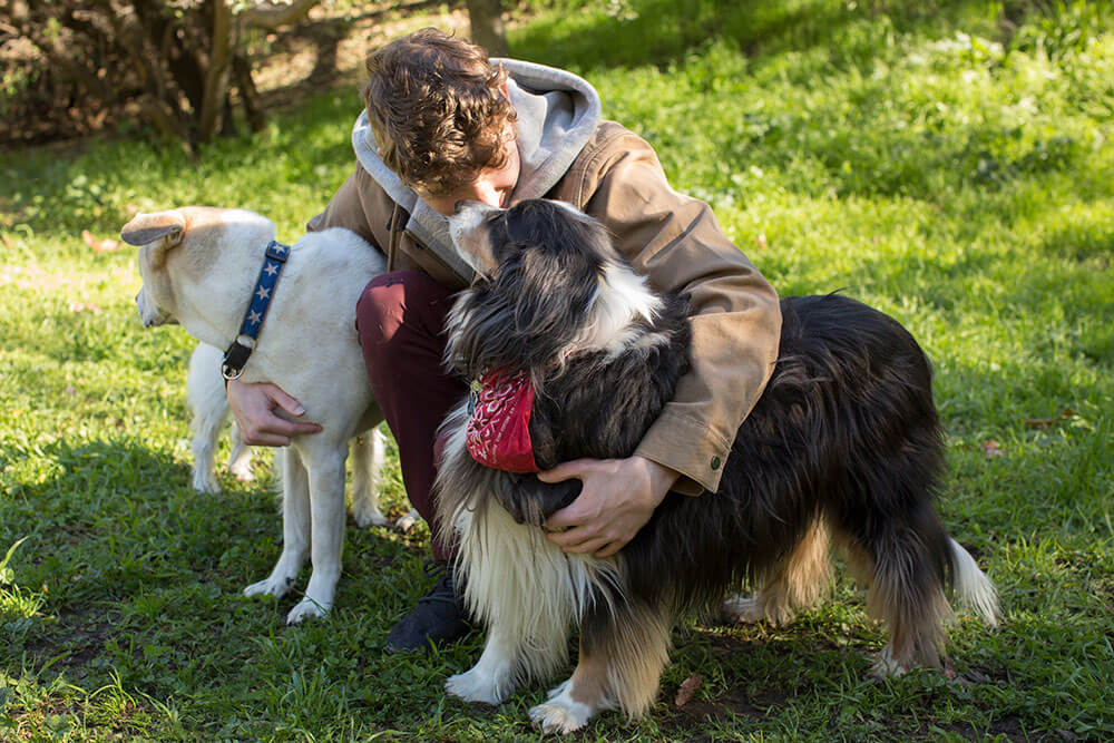 How We Rate Dogs raised over $1 million for dogs in need