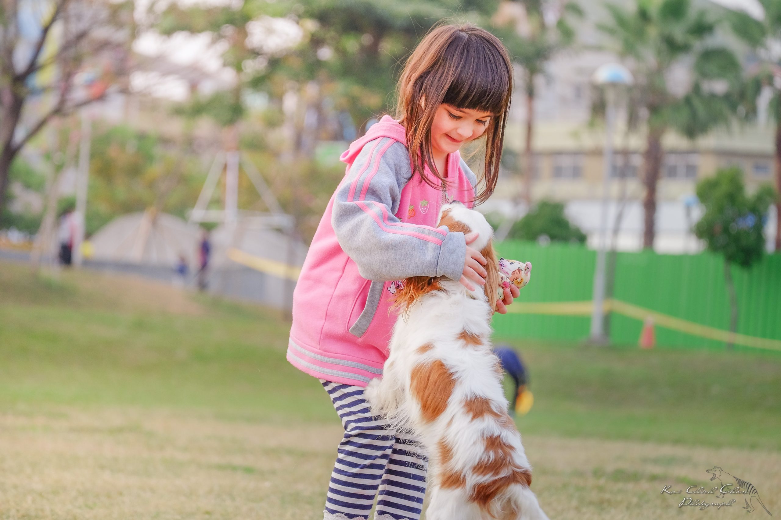 Change a Pet's Life With These 15 Pet Fundraising Ideas Change a Pet's Life With These 15 Pet Fundraising Ideas