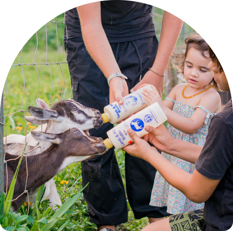 kids feeding baby animals on a farm