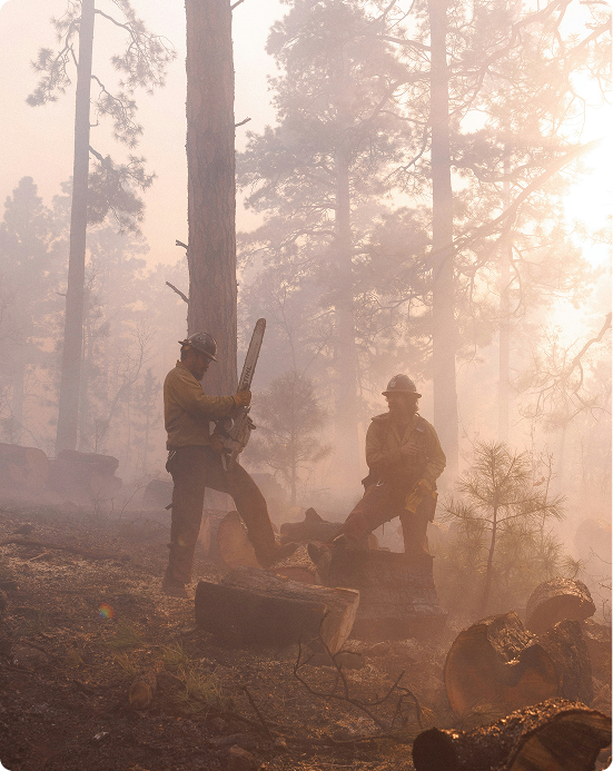 Firefighters