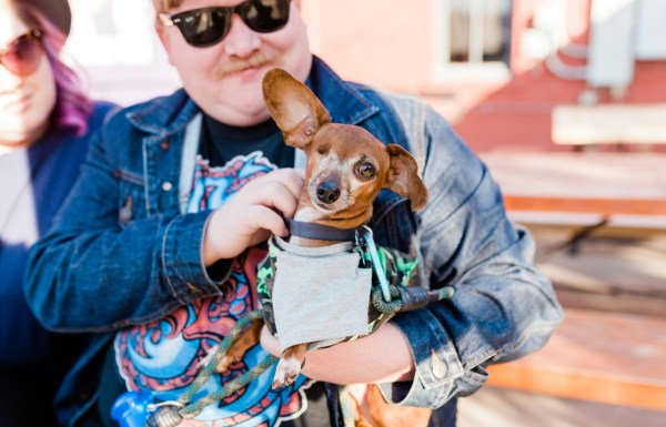 Man with a dog
