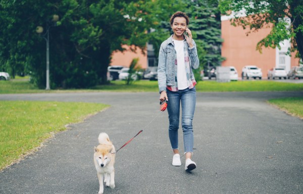 Walking the dog