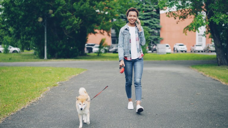 Walking the dog