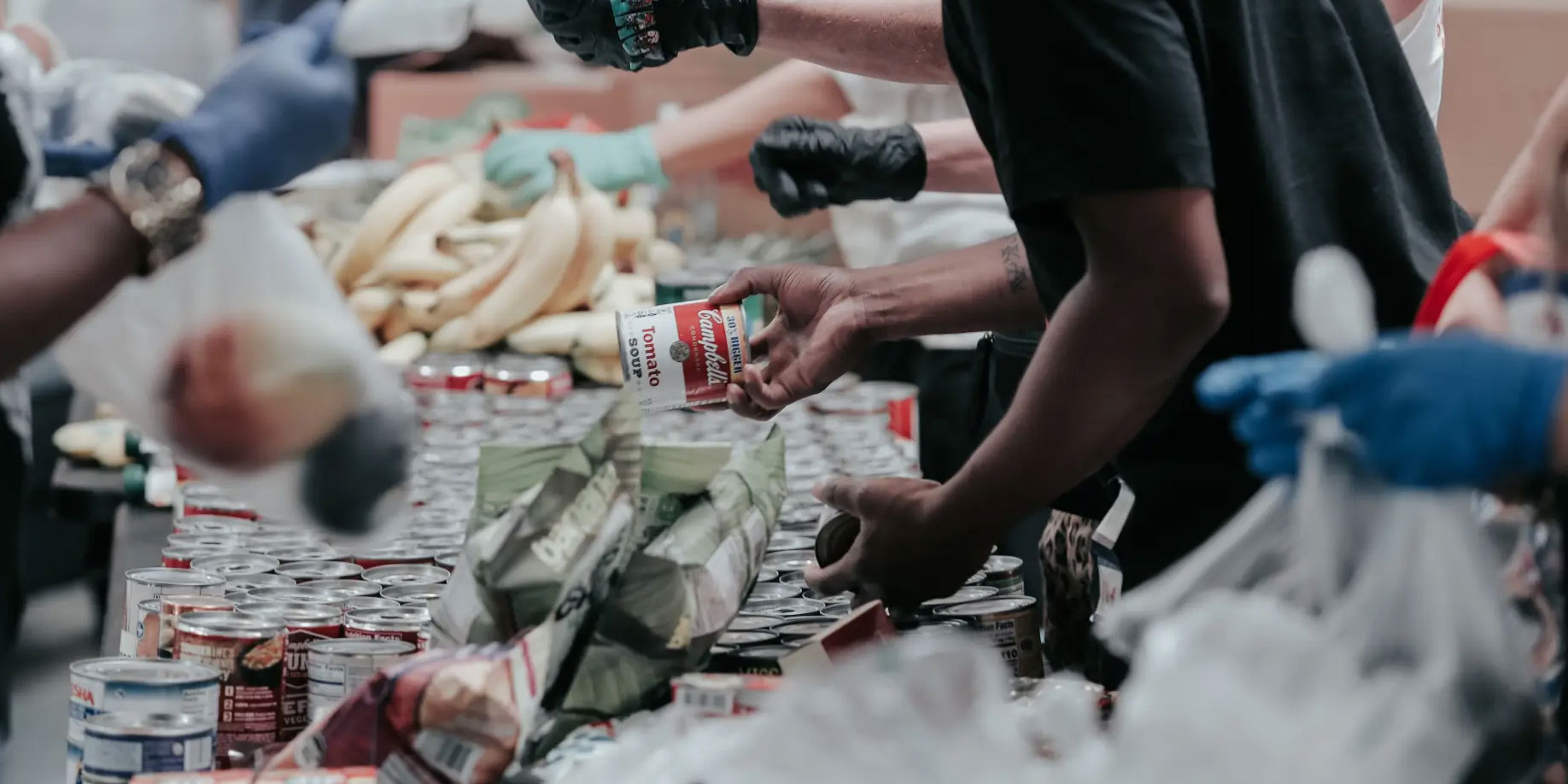 a person packing food donations