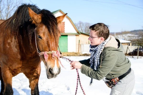 Pferd mit Mensch