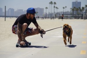Hund mit Skater