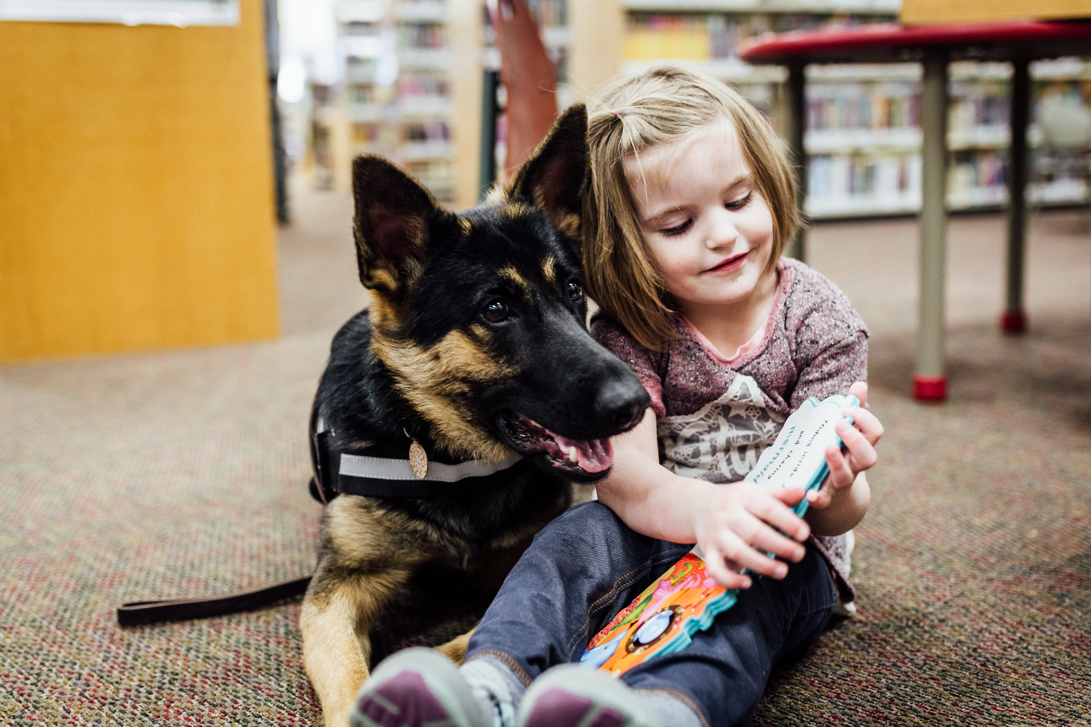 Pet Fundraising Tips That Drive Donations Pet Fundraising Tips That Drive Donations
