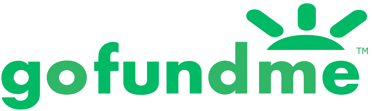 Everything You Need To Know About Gofundme S Fees