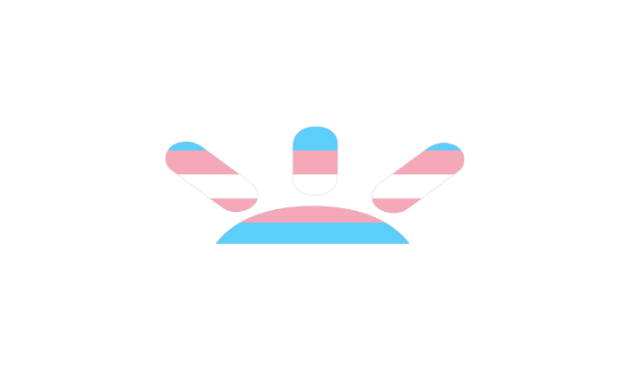 GoFundMe Ray - Transgender Hires