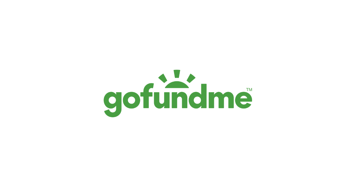 HOW GOFUNDME WORKS visual data 7