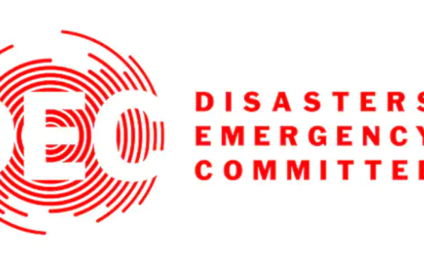the DEC logo