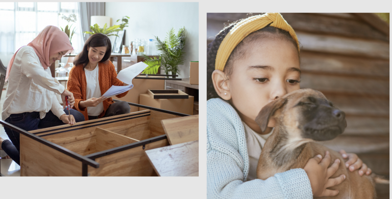 des amis qui fabriquent des meubles ensemble et une fille avec son chien