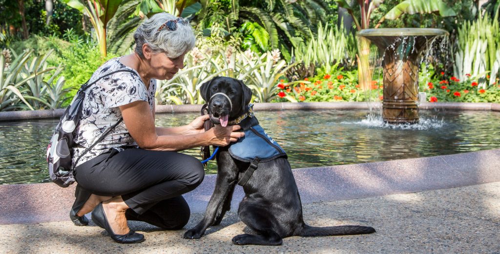 Como a arrecadação de fundos para ter um cão de serviço pode garantir a sua  independência